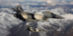 HGP_4082%2013x19a_Cropped