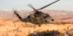 HGP_4374%2013x19a_Cropped