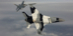 HGP_4425%2013x19a_Cropped