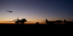HGP_7150%208x20_Cropped